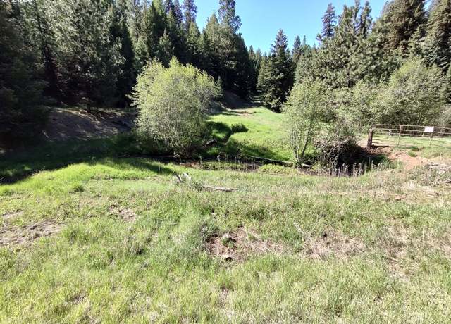 Property at Whiskey Crk, Wallowa, OR 97885