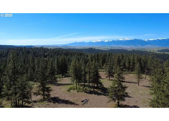 Property at Whiskey Crk, Wallowa, OR 97885