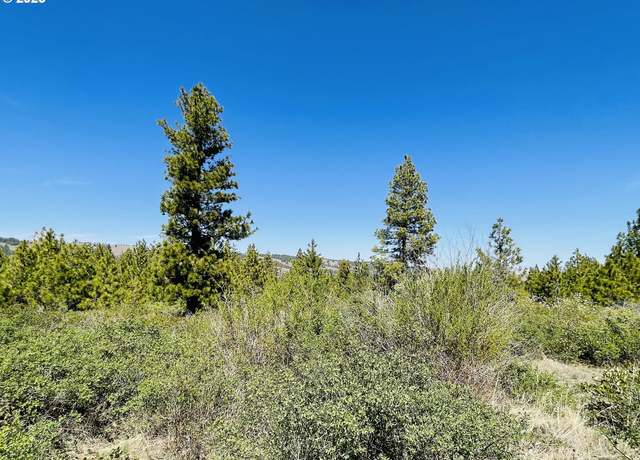 Property at Jensen Quarry Rd, Bickleton, WA 99322
