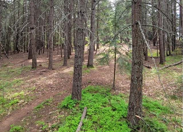 Property at 17 Canyon Loop Rd, Lyle, WA 98635
