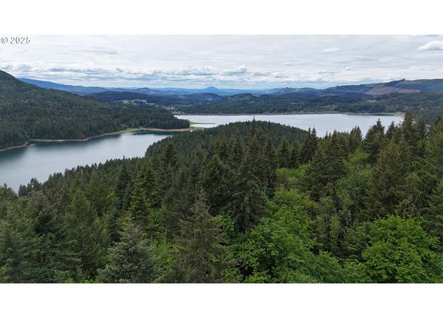 Property at 83715 Peninsula Rd, Fall Creek, OR 97438