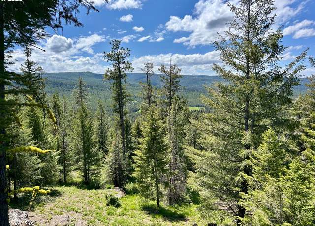 Property at Upper Rock Crk, La Grande, OR 97850