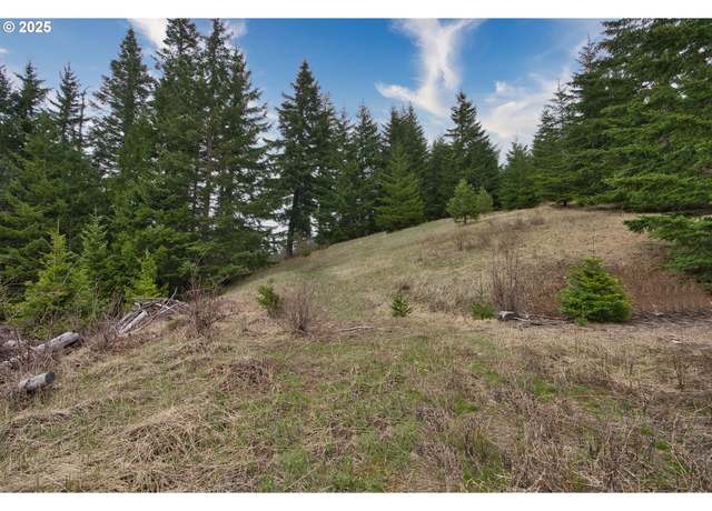 Property at 15 Brookside Dr, White Salmon, WA 98672