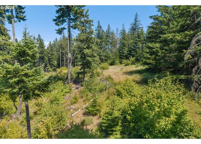 Property at 15 Brookside Dr, White Salmon, WA 98672