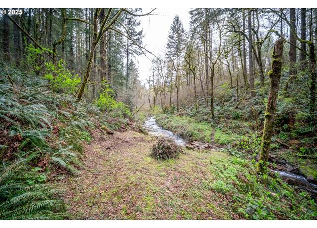 Property at 0 NE 181st Ave, Yacolt, WA 98675