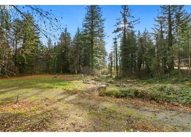 Property at 000 NW School (lot 2, Land) Rd #2, Stevenson, WA 98648