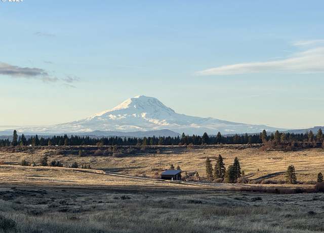 Property at Lipo, Centerville, WA 98613