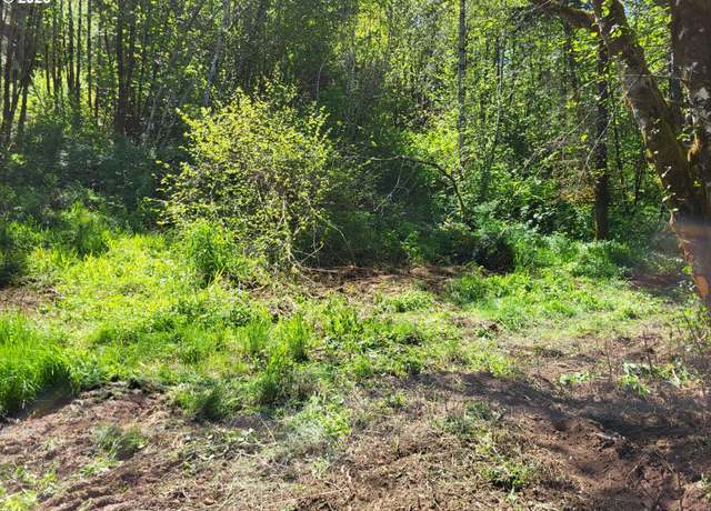 Property at 0 Salmon River Hwy, Grand Ronde, OR 97347