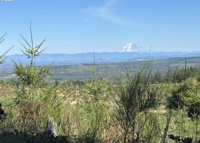 Property at 0 Casey Rd #1, Castle Rock, WA 98611