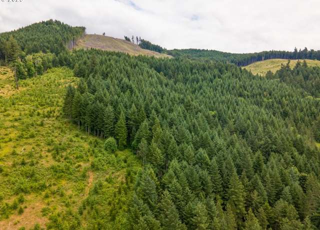 Property at Rat Creek Rd, Cottage Grove, OR 97424