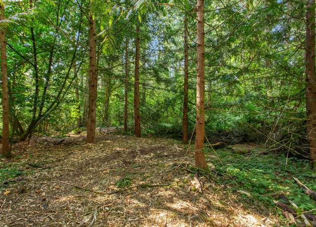 Property at Prop ID 233176000, Yacolt, WA 98675
