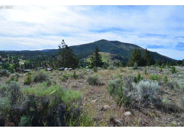 Property at 216 Elkview Dr, Canyon City, OR 97820