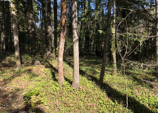 Property at W Roberts Rd #6800, Oakridge, OR 97463