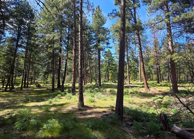 Property at Hwy 216, Maupin, OR 97037