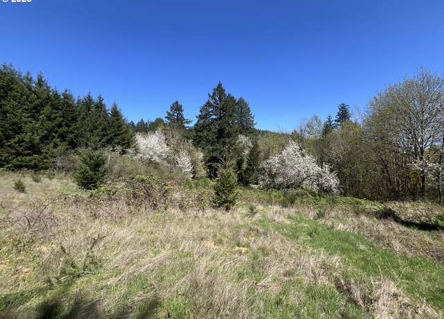 Property at NS, Forest Grove, OR 97116
