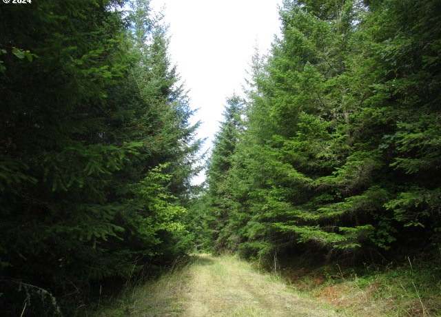 Property at 0 Bellinger Scale (1) Rd, Lebanon, OR 97355