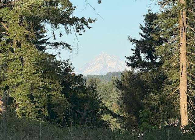 Property at 19331 SE Heuke Rd, Damascus, OR 97089