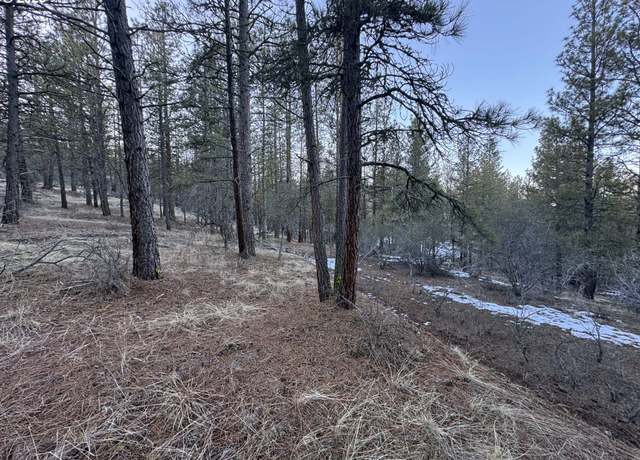 Property at Bobcat Cir Lot 7, Beatty, OR 97621