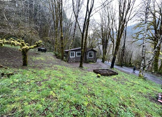 Property at 92187 W Fork Rd, Deadwood, OR 97430, 1 bed, 1 bath