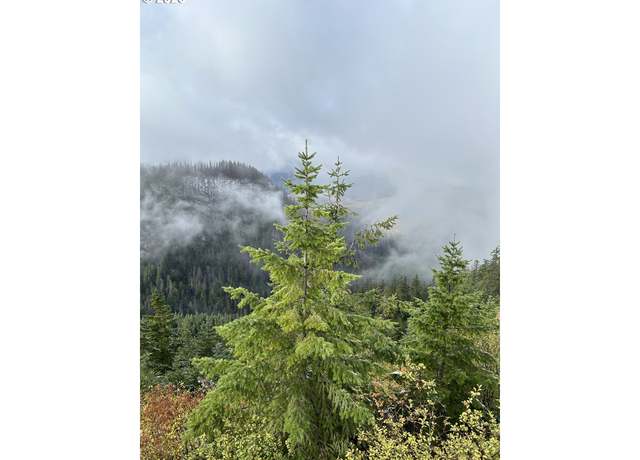 Property at 0 Calapooia Rd, Sweet Home, OR 97386