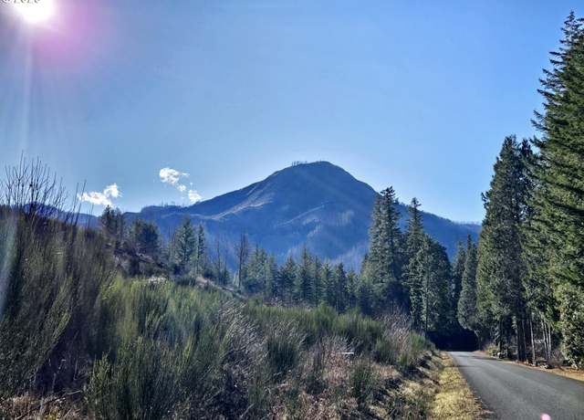 Property at King Rd, Blue River, OR 97413