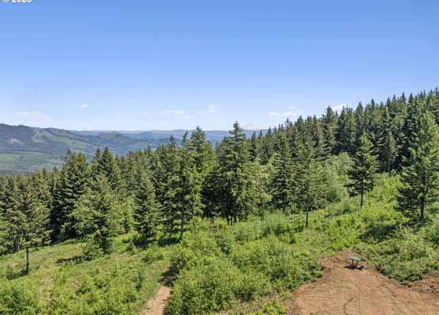 Property at NE 298th Ct, Camas, WA 98607