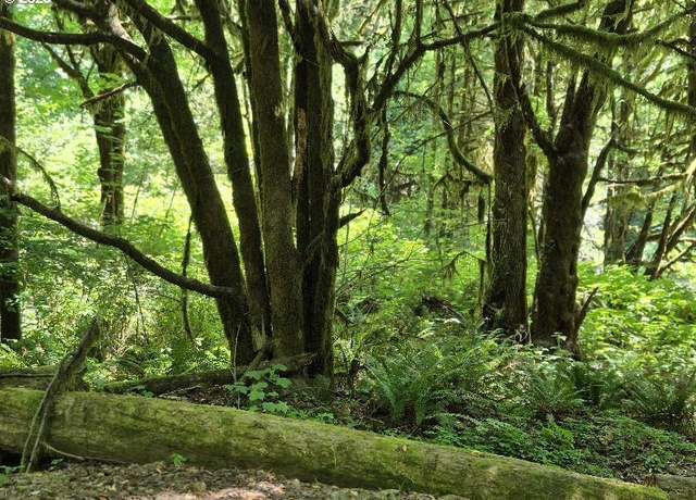 Property at Middle Creek Rd #700, Myrtle Point, OR 97458