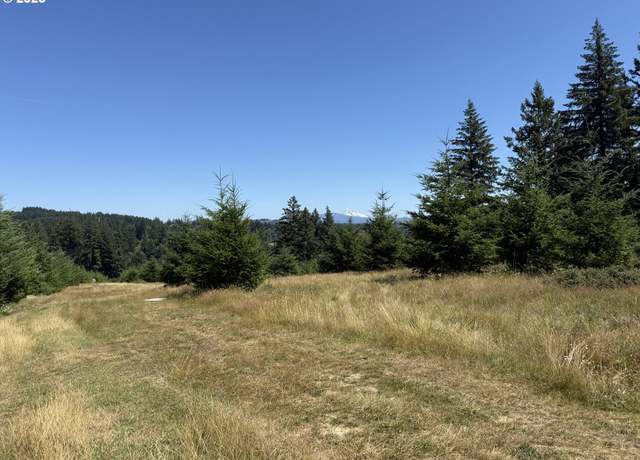 Property at 0 NE 277th Ave, Camas, WA 98607