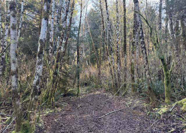Property at 0 Hilltop Dr #601, Lakeside, OR 97449