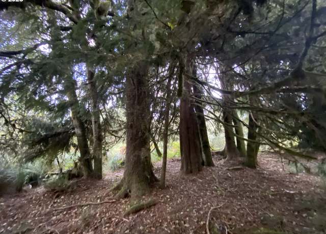Property at Dellmoor Loop, Warrenton, OR 97146