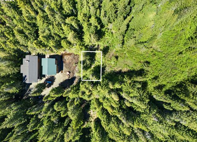 Property at Block 9 Lt, Government Camp, OR 97028