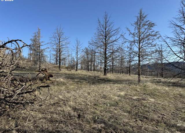 Property at 31763 Godowa Springs Rd, Beatty, OR 97621