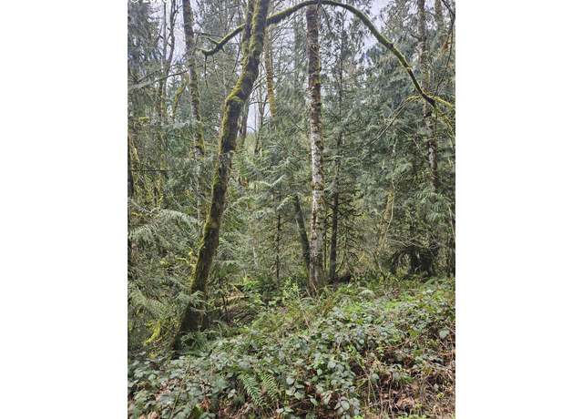 Property at 201 Pin Creek Ln, Kelso, WA 98626
