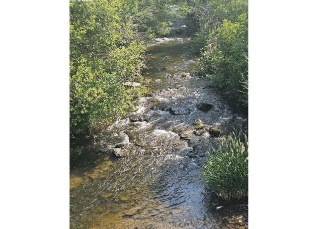 Property at Olson Rd, Centerville, WA 98613
