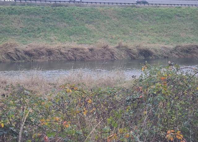 Property at 000 Grade St, Kelso, WA 98626