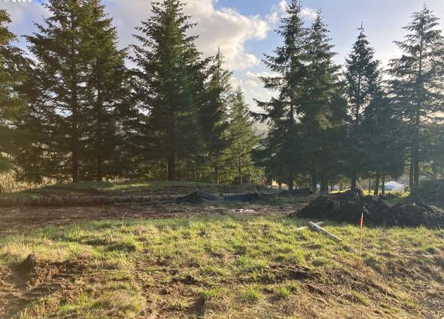 Property at NE Center #4, Sheridan, OR 97378
