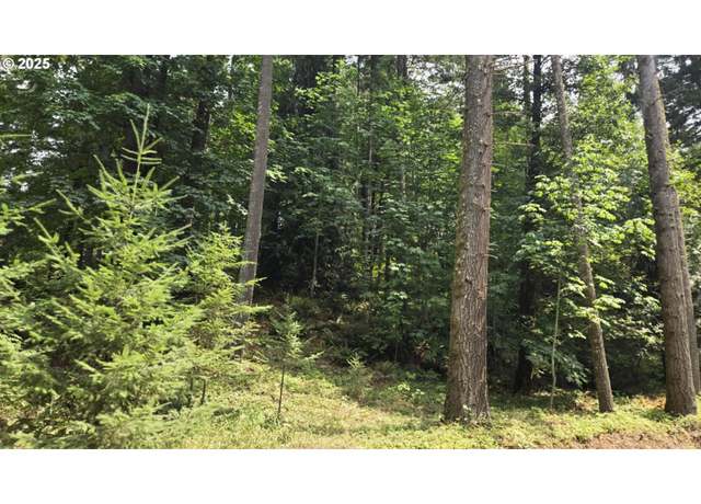 Property at NW Ranch Dr, Banks, OR 97106