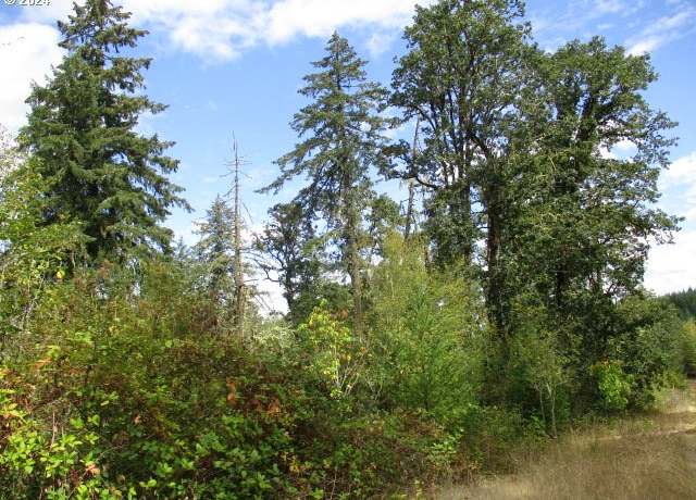 Property at 00 Bellinger Scale (2) Rd, Lebanon, OR 97355