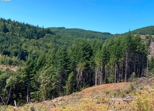 Property at Tax ID 869112, Coquille, OR 97423