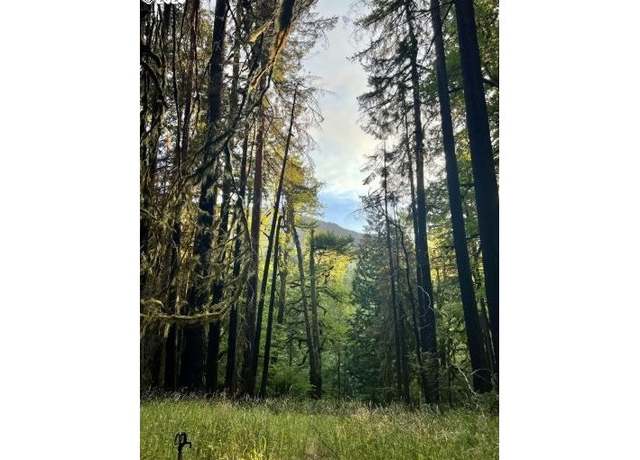 Property at 25993 E Henry Creek Rd, Rhododendron, OR 97049