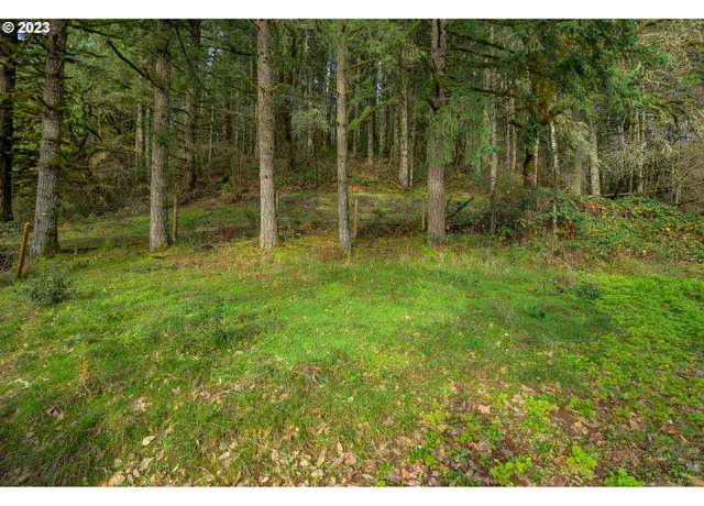 Property at 16600 NW Panther Creek Rd, Carlton, OR 97111