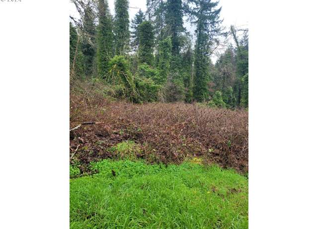 Property at 0 S A St, Springfield, OR 97477