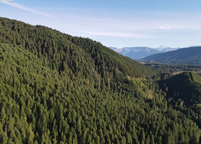 Property at Cedar Creek Rd, Carson, WA 98610