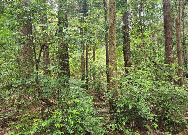 Property at Cedar Hollow Rd #2107, Port Orford, OR 97465
