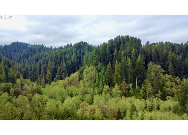 Property at 18-10-00-00-01300500, Mapleton, OR 97453