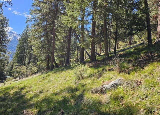 Property at Lake Shore Rd, Joseph, OR 97846