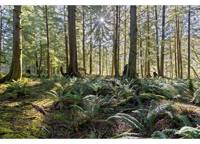 Property at N Stockton Rd #2700, Otis, OR 97368