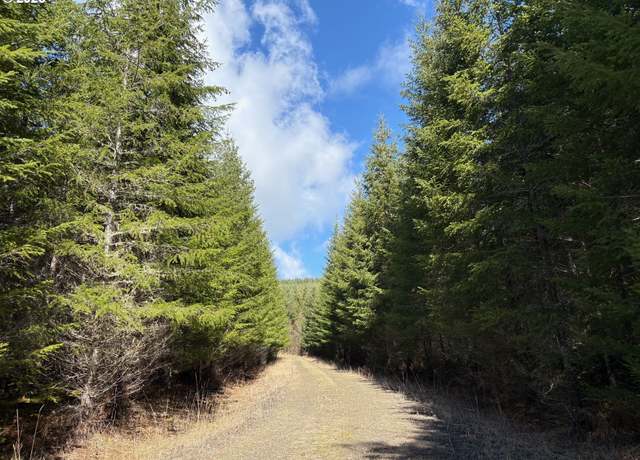 Property at 0 Boiler Creek Rd, Springfield, OR 97478