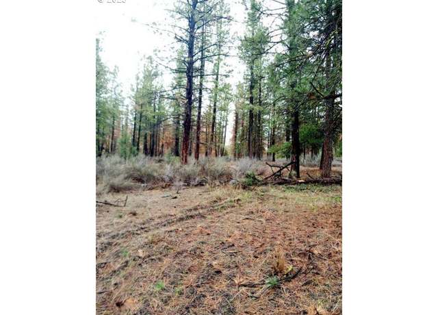 Property at 1 Forest Rd 9715, Chiloquin, OR 97624