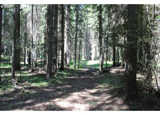 Property at Upper Basket Mnt. Rd, Weston, OR 97886